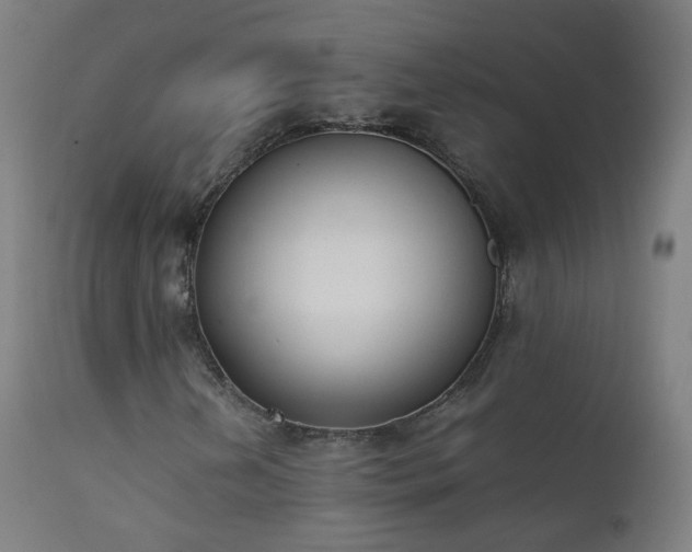 X0000111371202200907171150