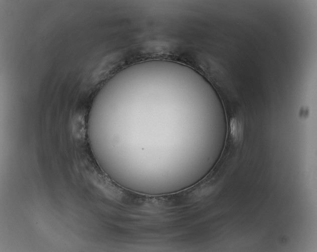 X0000111371203200907171150