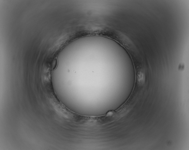 X0000111371204200907171150