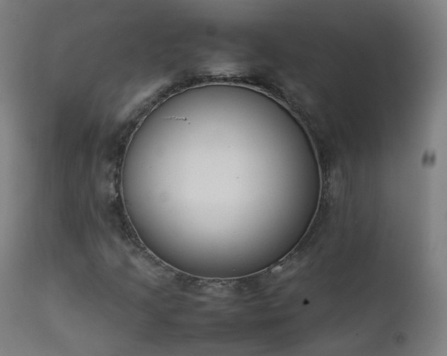 X0000111371205200907171150