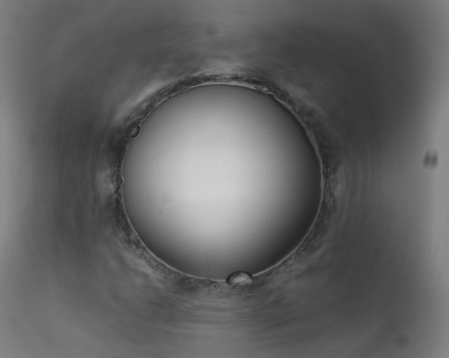 X0000111371206200907171150