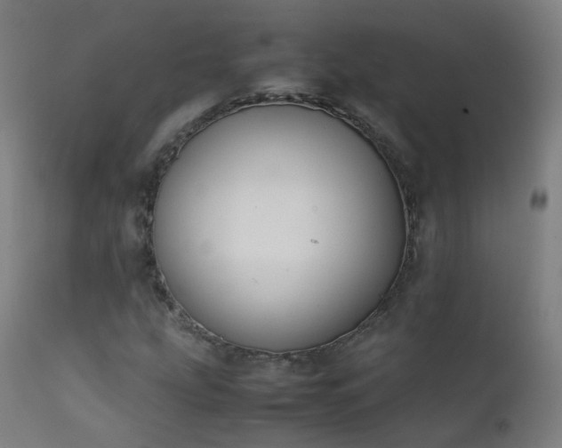 X0000111371207200907171150