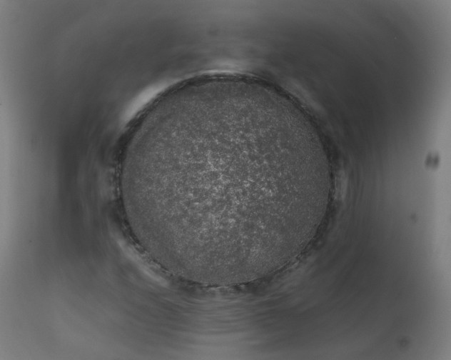 X0000111371208200907171150