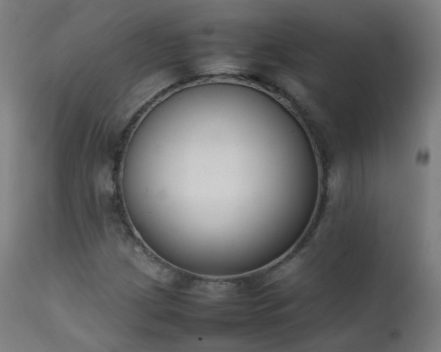 X0000111371209200907171150