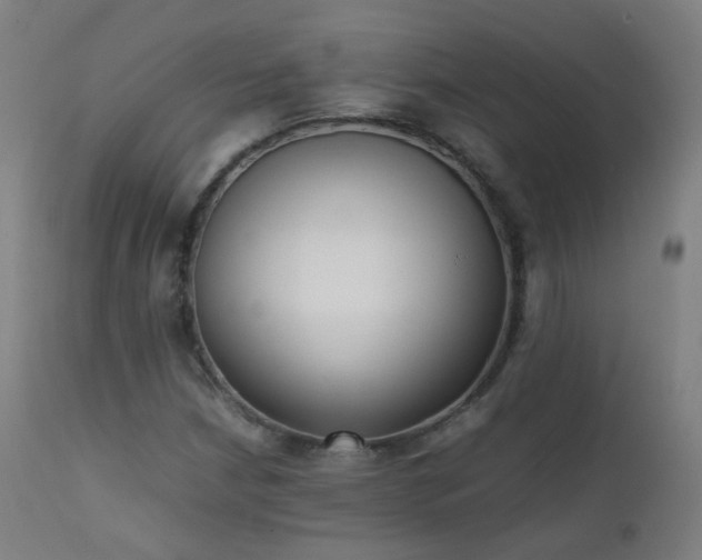 X0000111371210200907171150