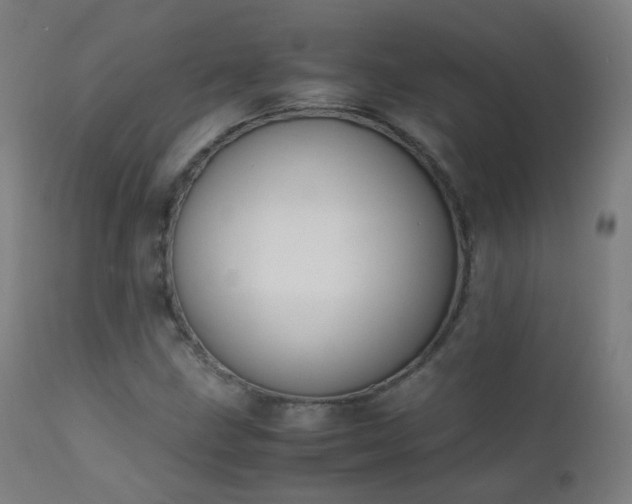 X0000111371211200907171150