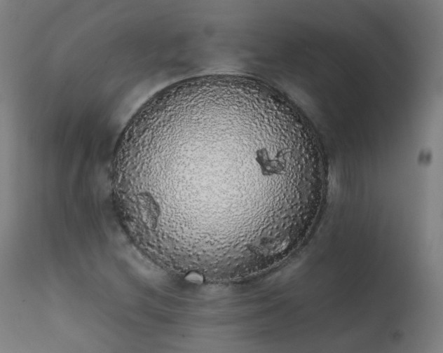X0000111371212200907171150