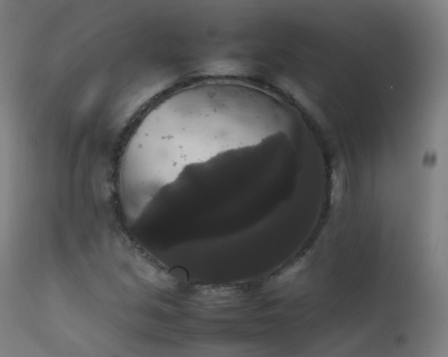 X0000111371213200907171150