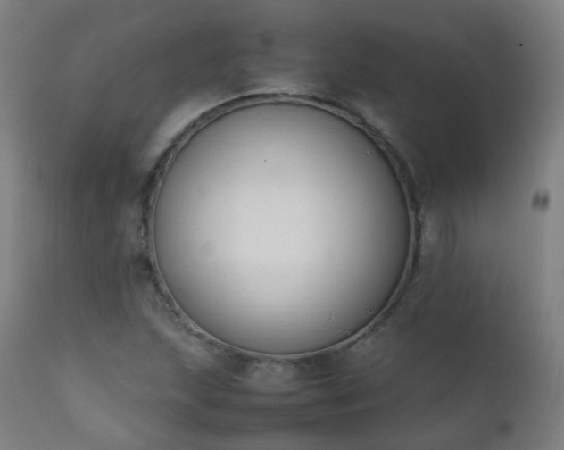 X0000111371215200907171150