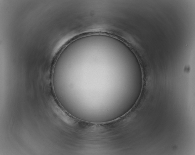 X0000111371216200907171150