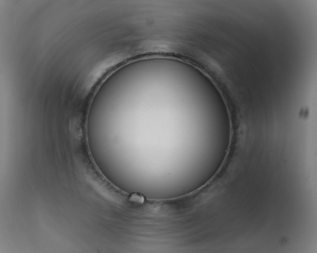 X0000111371218200907171150