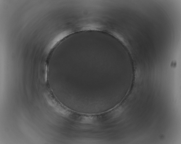 X0000111371219200907171150