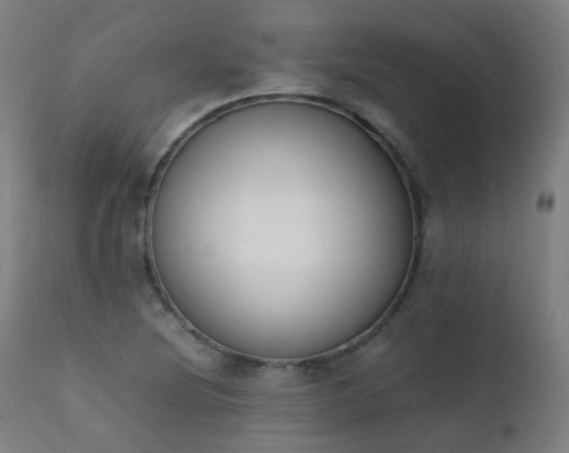 X0000111371220200907171150