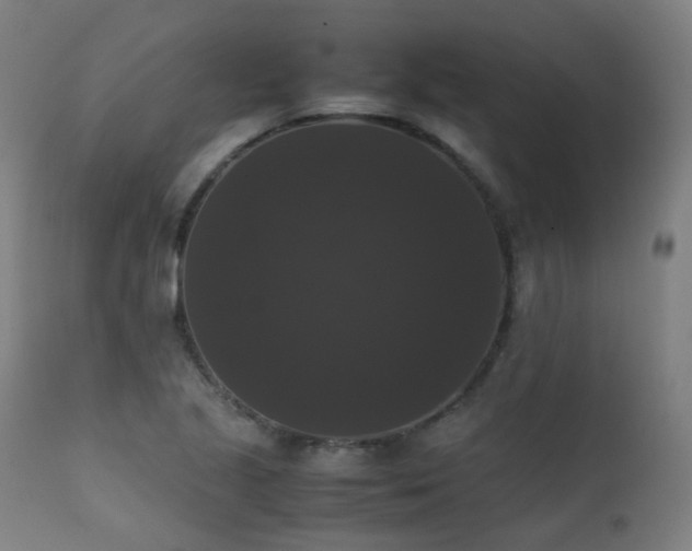 X0000111371221200907171150