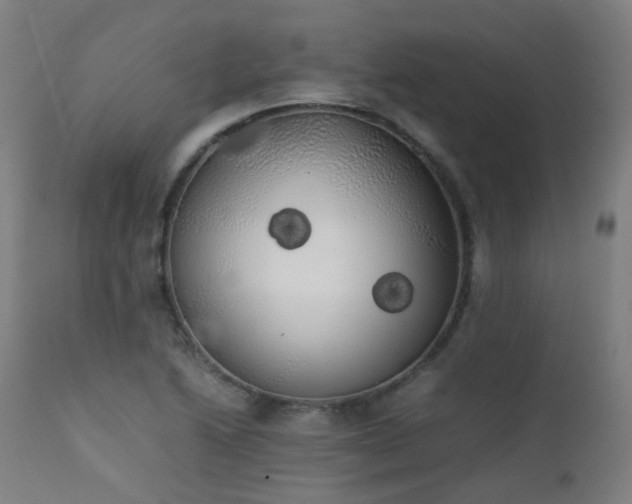 X0000111371222200907171150