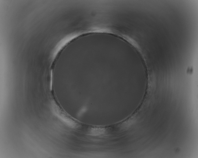 X0000111371223200907171150