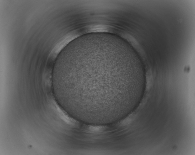 X0000111371225200907171150