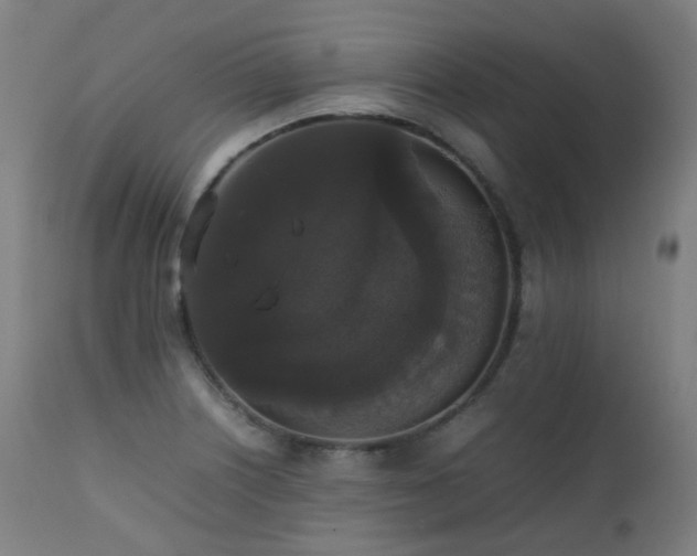 X0000111371226200907171150