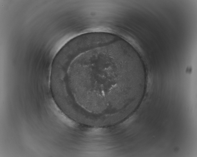 X0000111371228200907171150