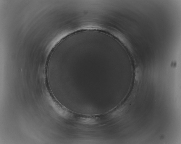 X0000111371229200907171150