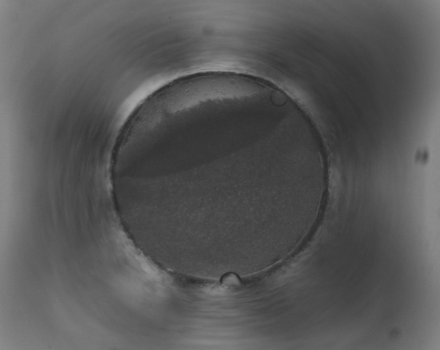 X0000111371230200907171150