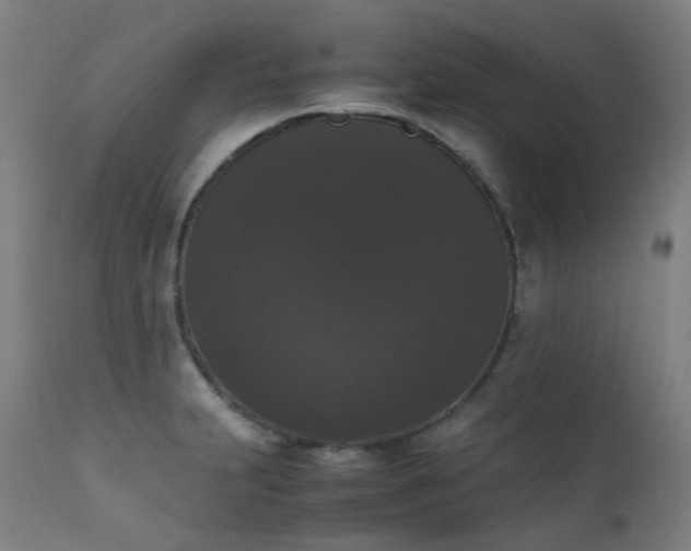 X0000111371231200907171150