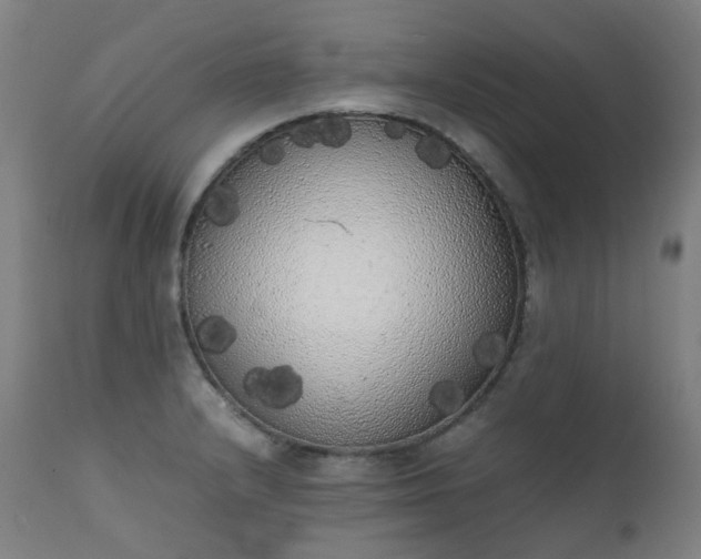 X0000111371232200907171150