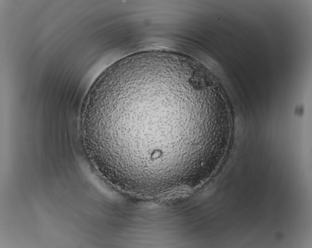 X0000111371234200907171150