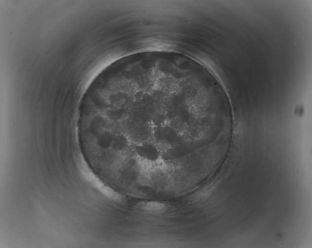 X0000111371235200907171150