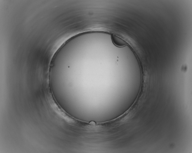 X0000111371236200907171150