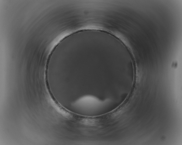 X0000111371237200907171150