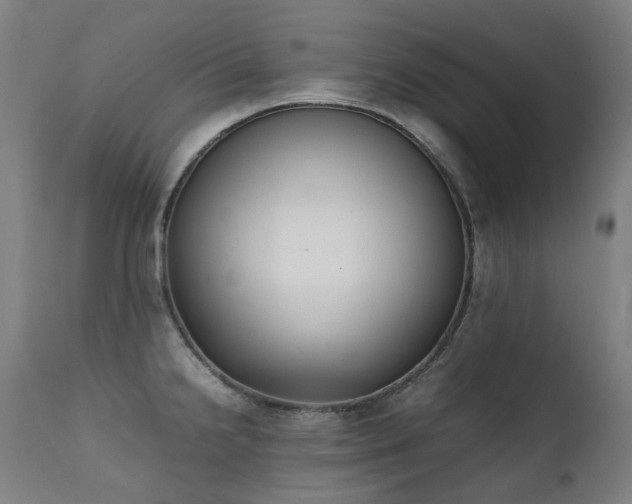 X0000111371238200907171150