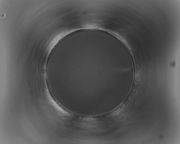 X0000111371239200907171150