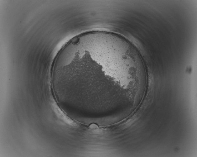 X0000111371240200907171150