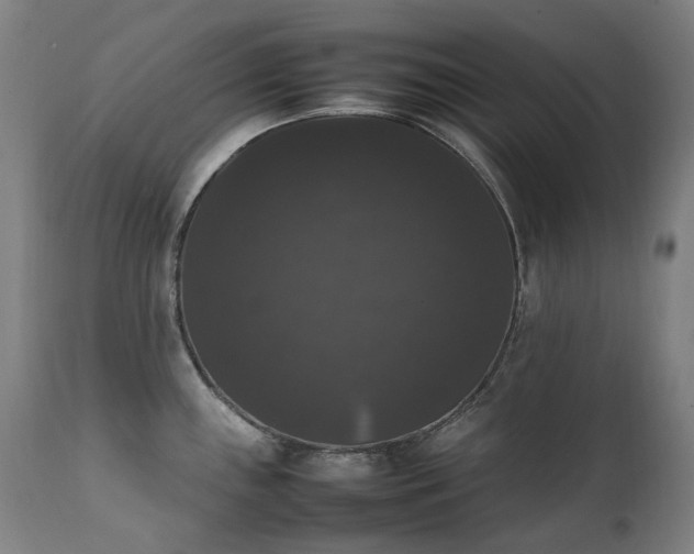 X0000111371243200907171150