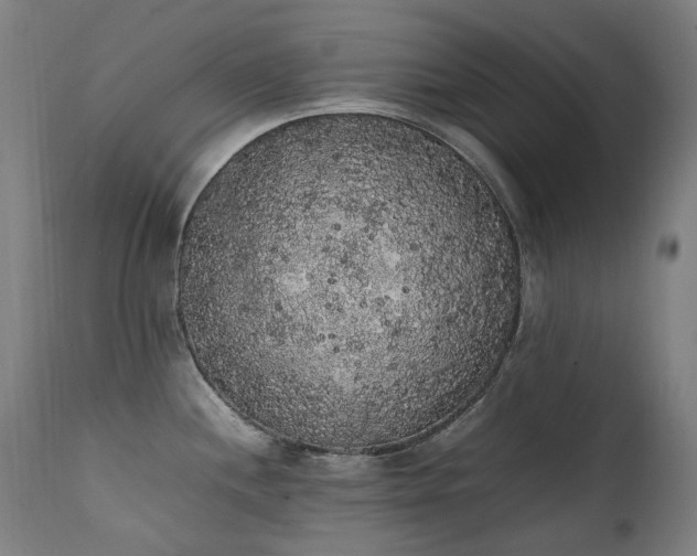 X0000111371244200907171150