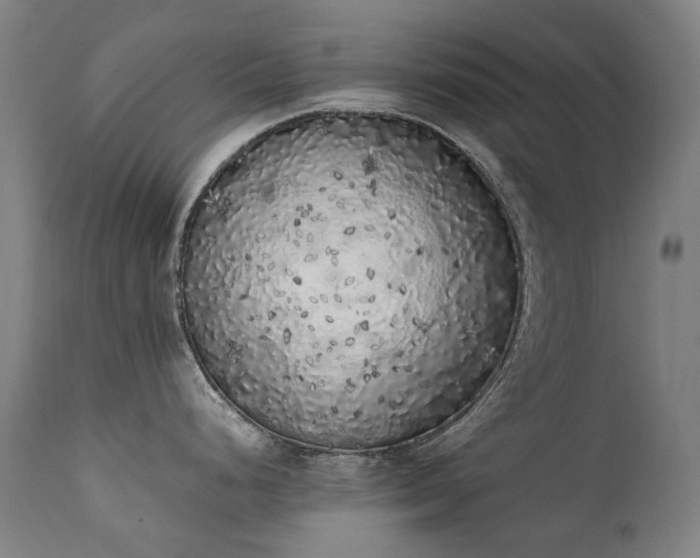 X0000111371248200907171150
