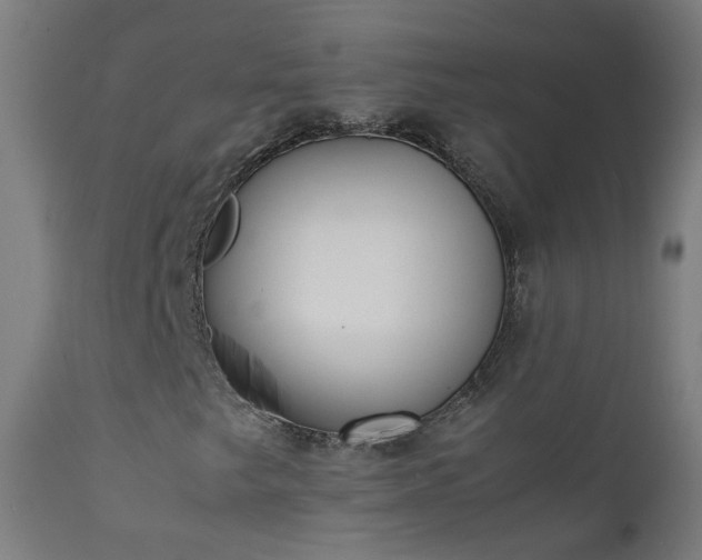 X0000111371249200907171150