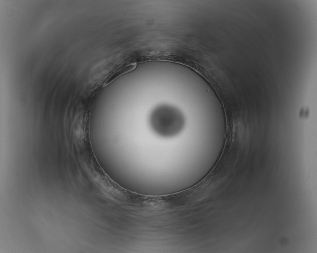 X0000111371250200907171150