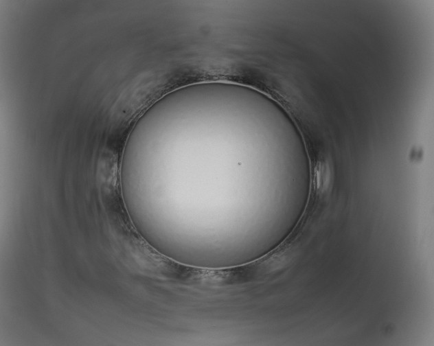 X0000111371251200907171150