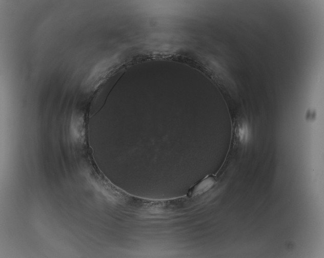 X0000111371252200907171150