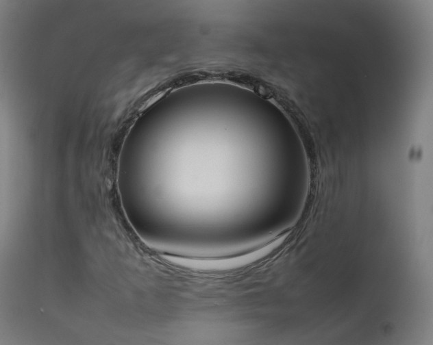 X0000111371253200907171150