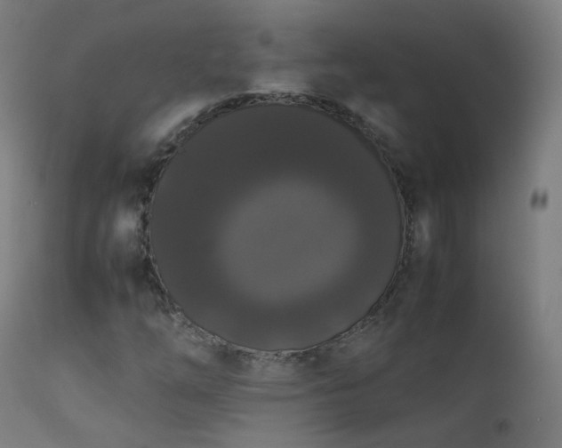 X0000111371254200907171150