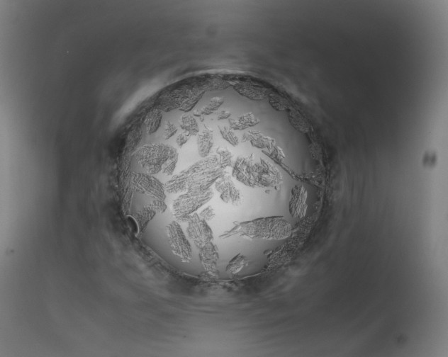 X0000111371255200907171149