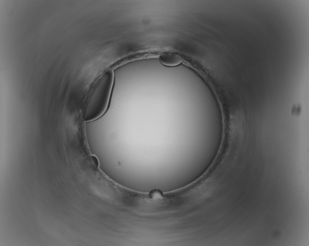 X0000111371257200907171149