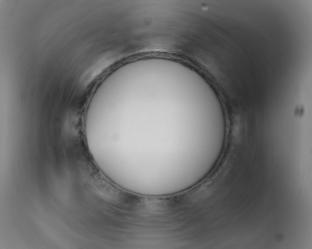 X0000111371258200907171149