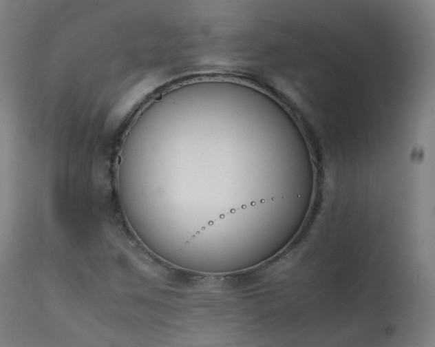 X0000111371259200907171149