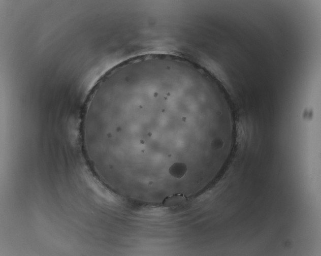 X0000111371260200907171149