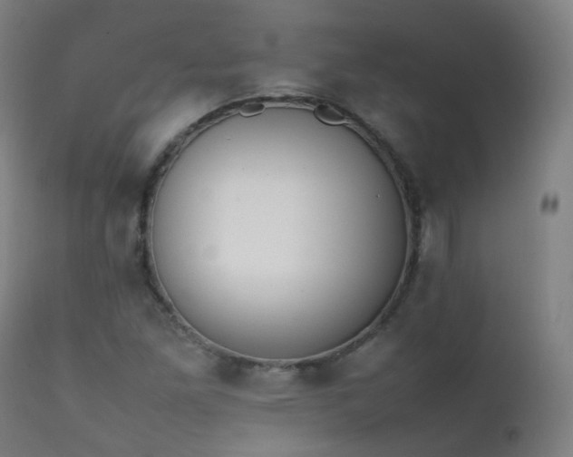 X0000111371261200907171149