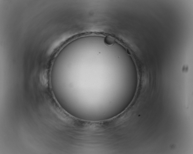 X0000111371262200907171149